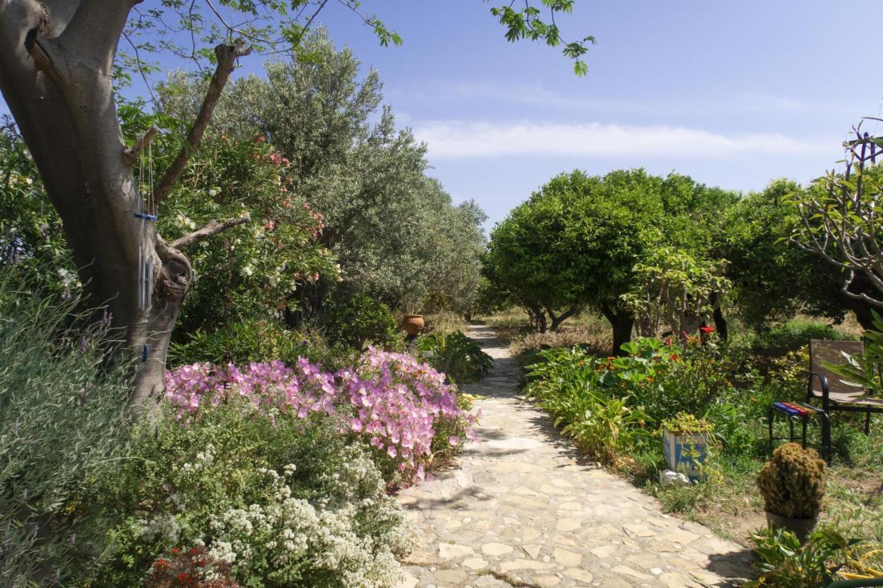 Phlea Farm Studios Alinda  Exterior foto